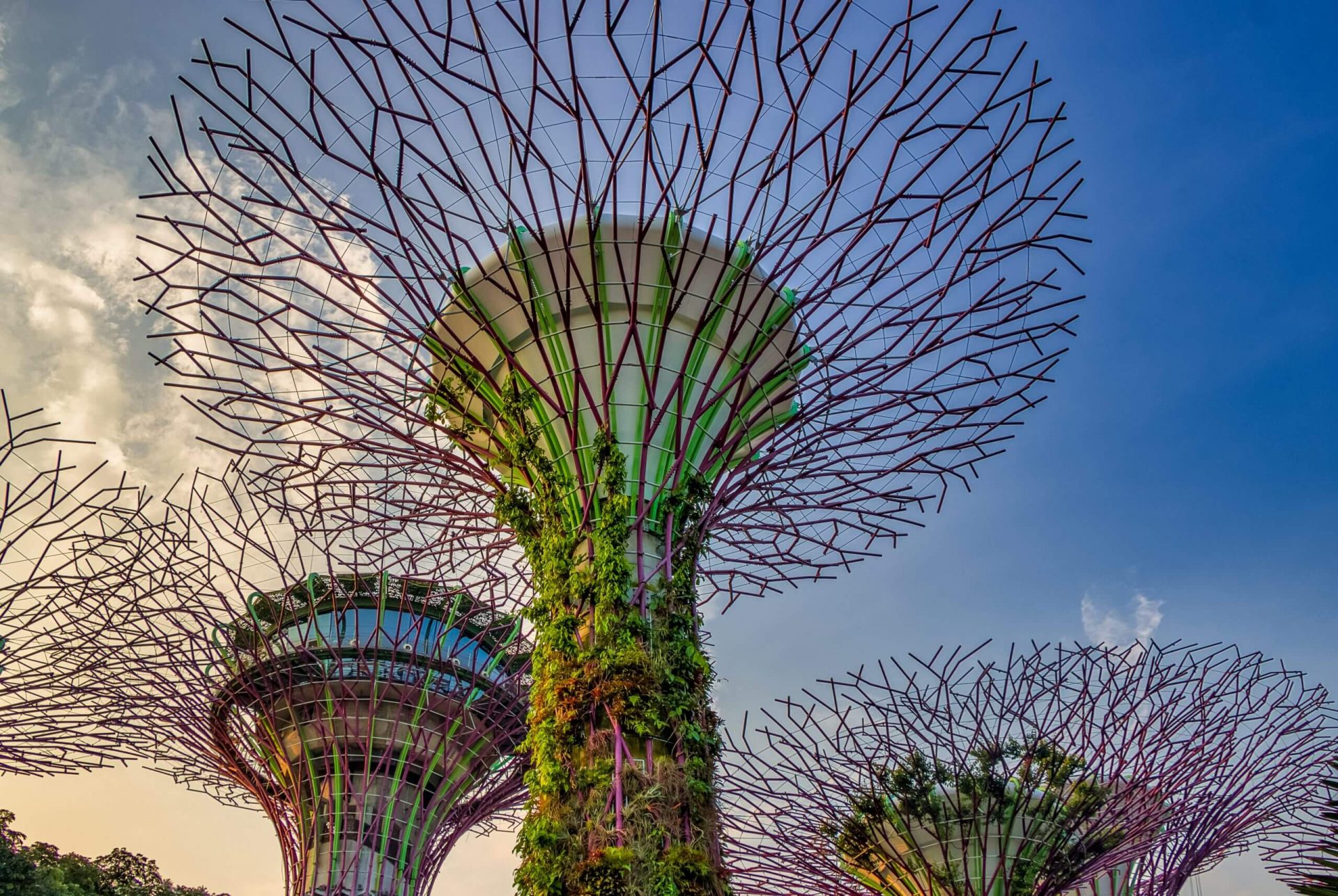 Gardens by the bay under the blue sky
